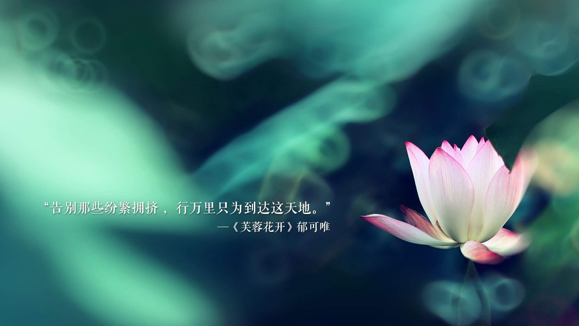 银箭破晓，迈凯伦青年军逆转红牛二队，皮亚斯特里改写历史的一夜