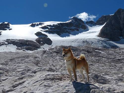 绝地逆转的平行宇宙，从华沙到多哈