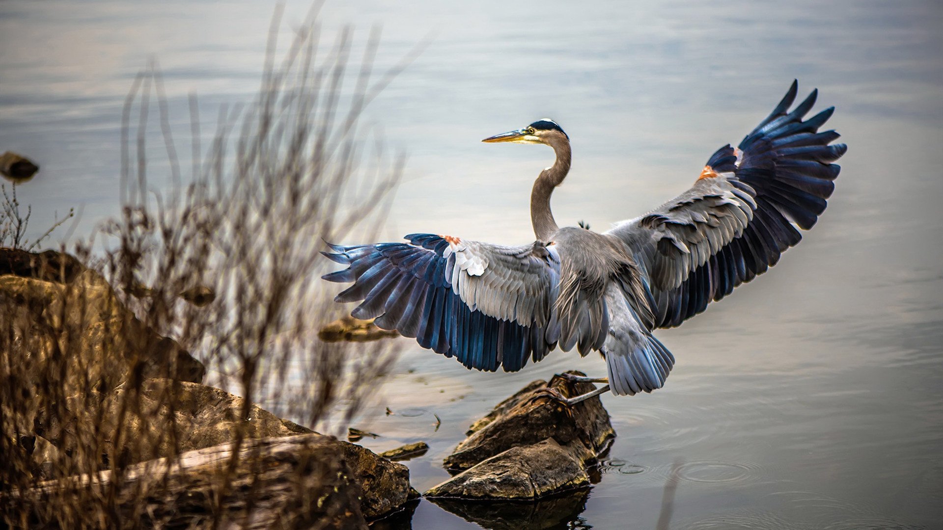孤帆远影，孙铭徽扛起全队，掘金力克山东队