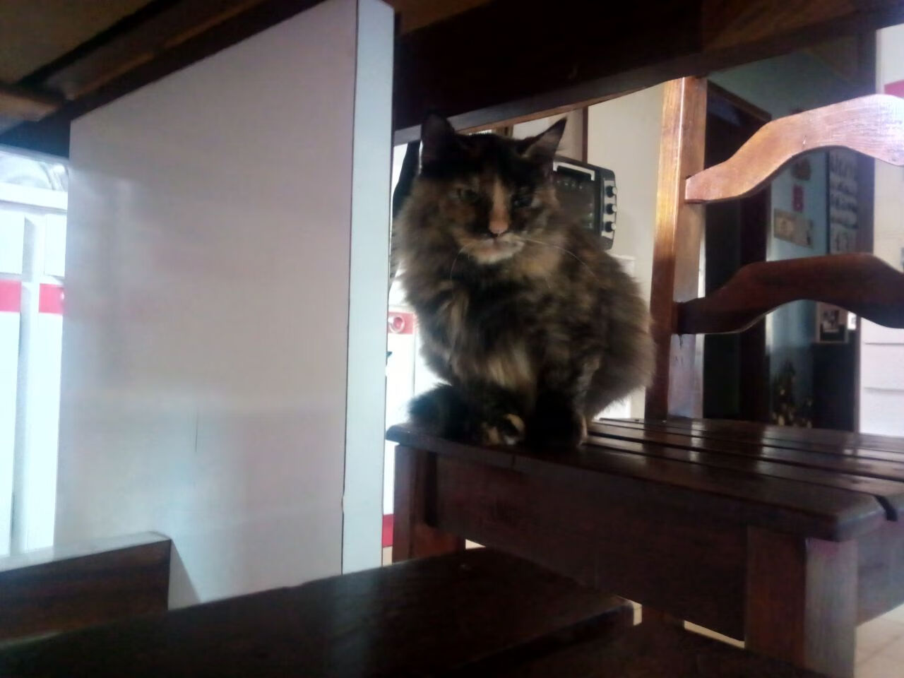 篮网强压湖人的启示，拉梅洛的关键哲学