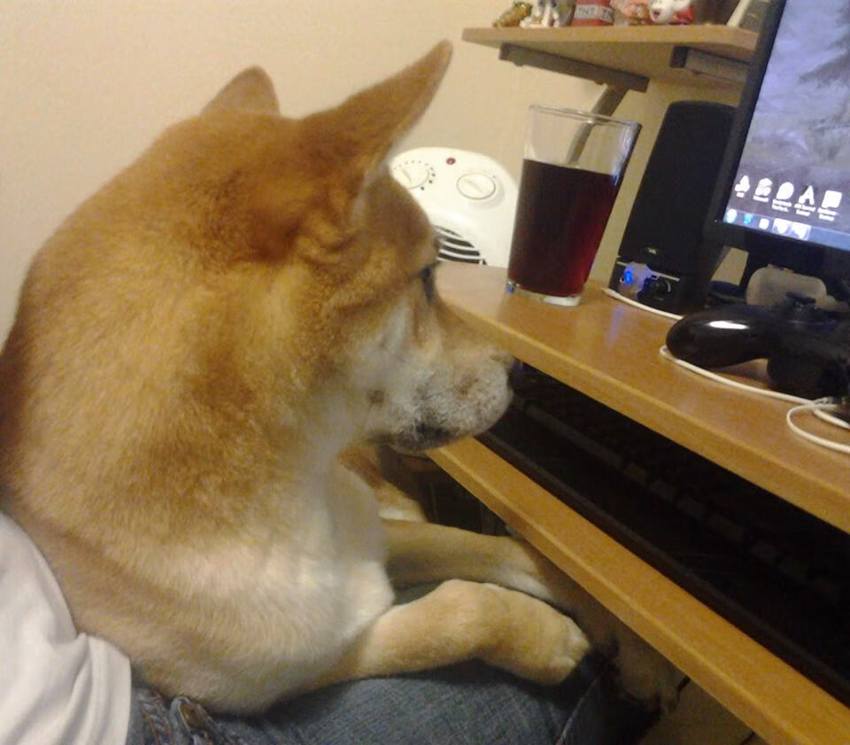 当阿森纳倒下时，一个阿根廷人正在肆意庆祝