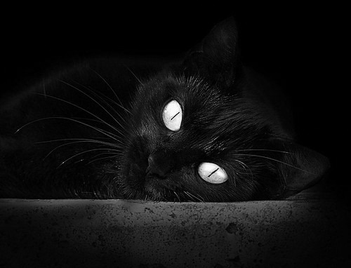 唯一性宣言，孔德全程高能输出，演绎个人与团队双重完胜