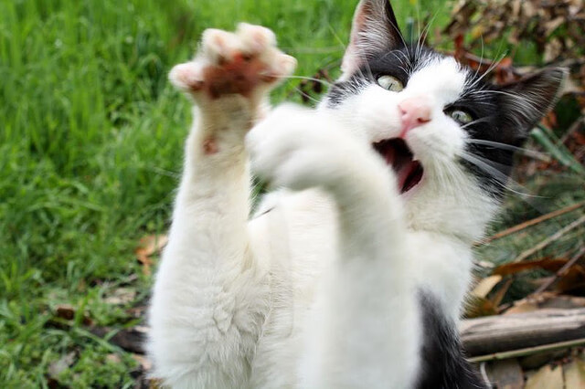 上帝执棋，哈登导演的这场跨维度盛宴