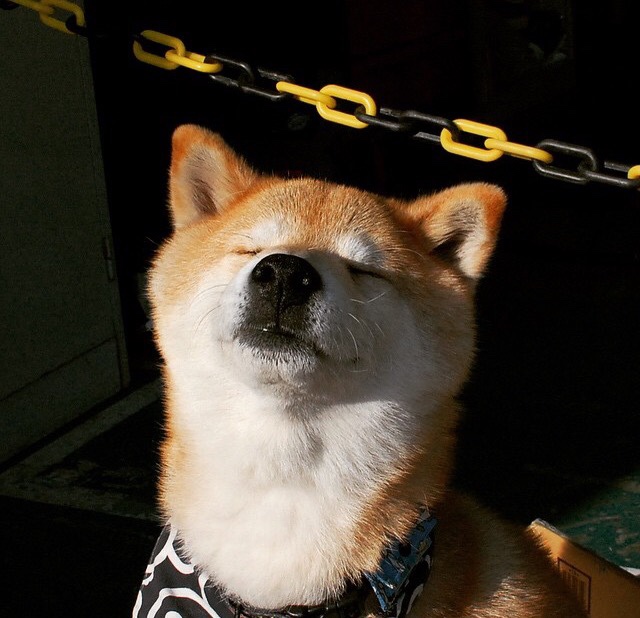 惊天谜题，拉什福德如何成为德甲争冠战的关键胜负手？