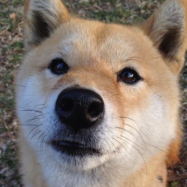 从NBA总决赛到世界之巅，热火战术DNA如何在2026世界杯孕育新王