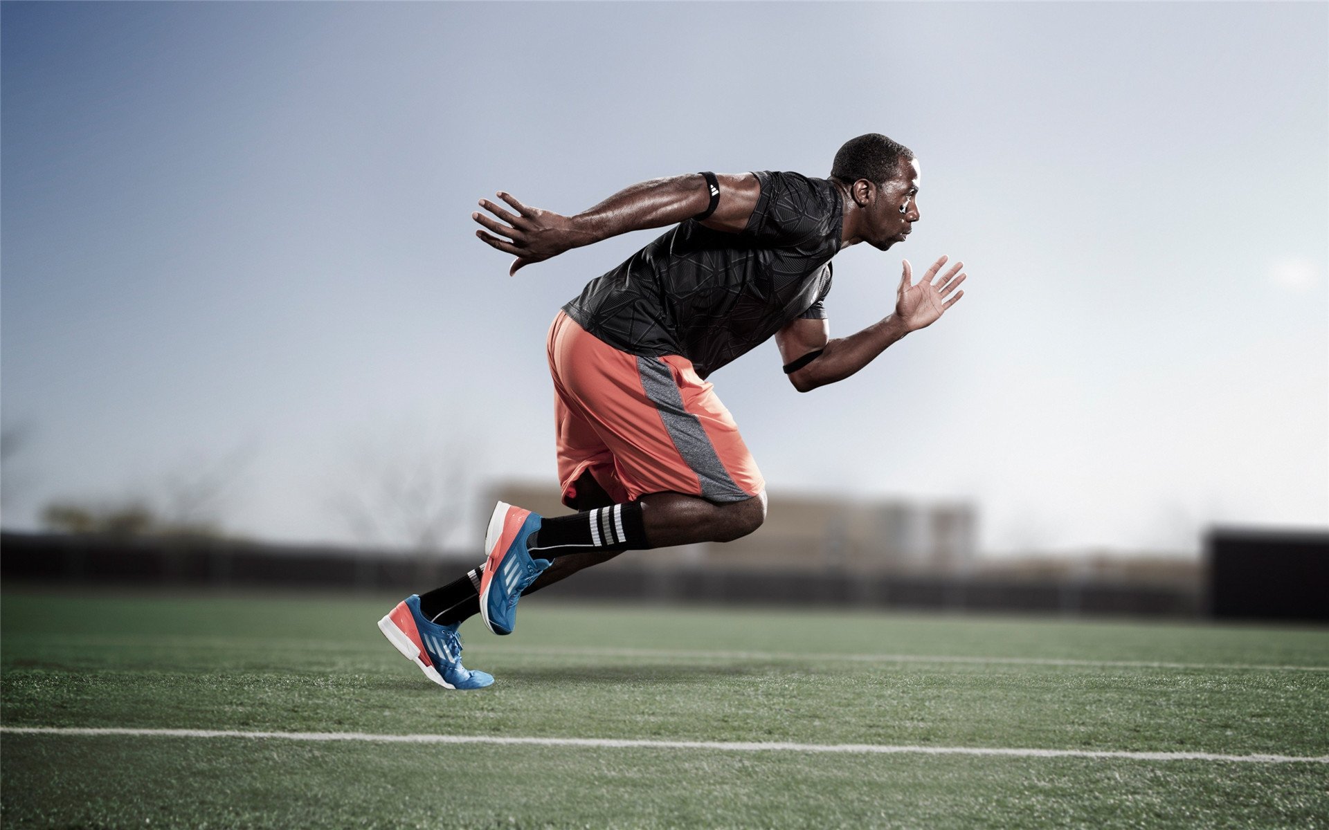 独舞的橙色火焰,加克波的生涯之夜,如何重新点亮郁金香的荣光