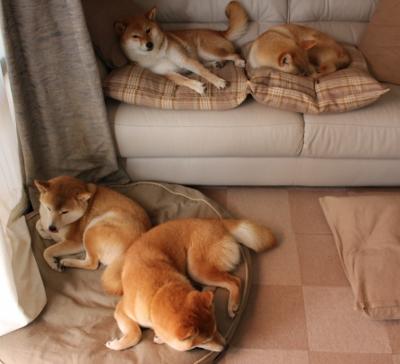 诺坎普奇迹再现，三笘薰七战封神