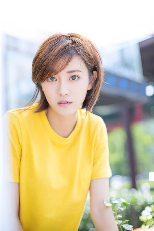 绿茵篮网皆战场,竞技精神的永恒交响