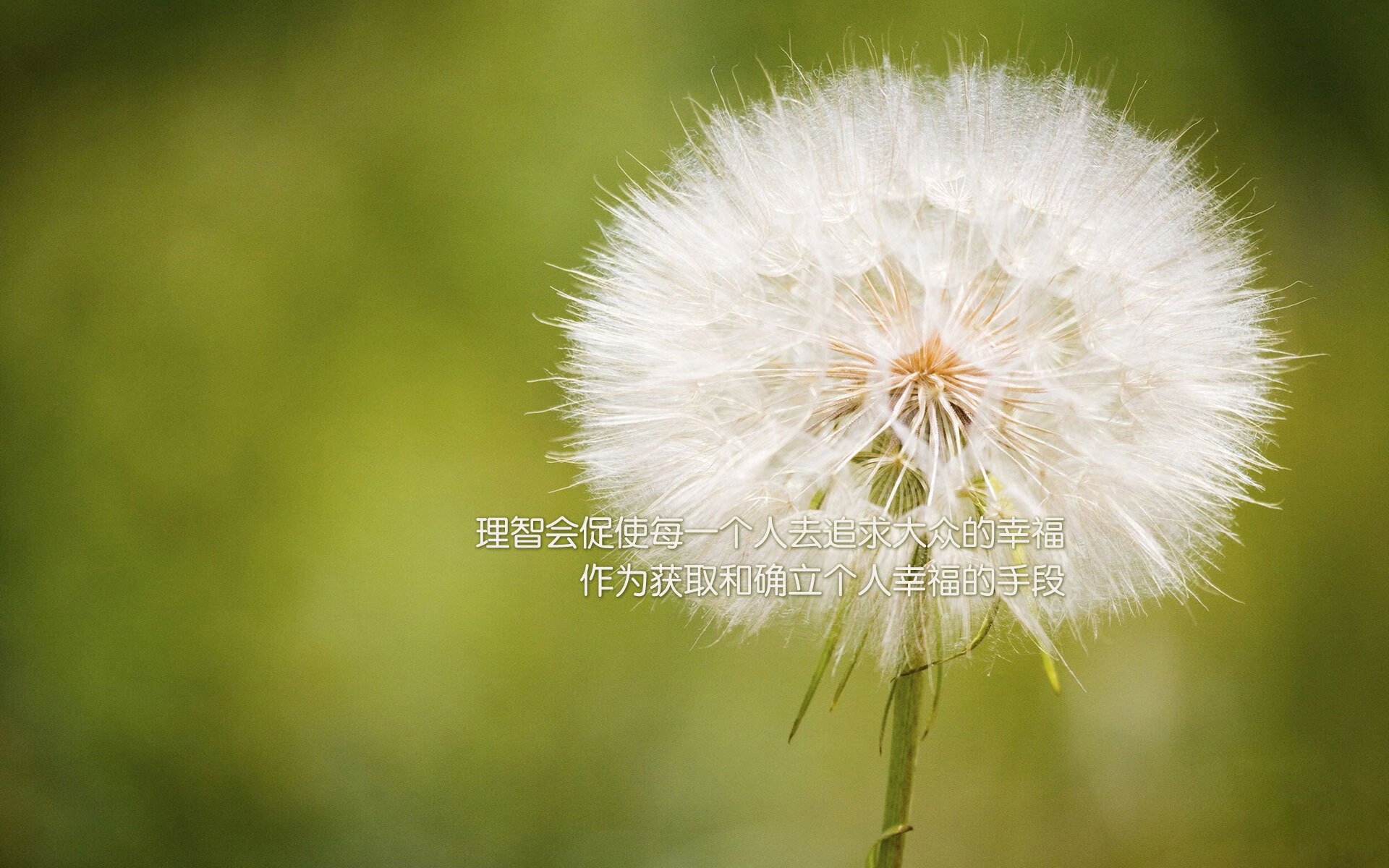 京吉大战现死神杜兰特时刻，孤胆英雄扛起摇摇欲坠的京城之师