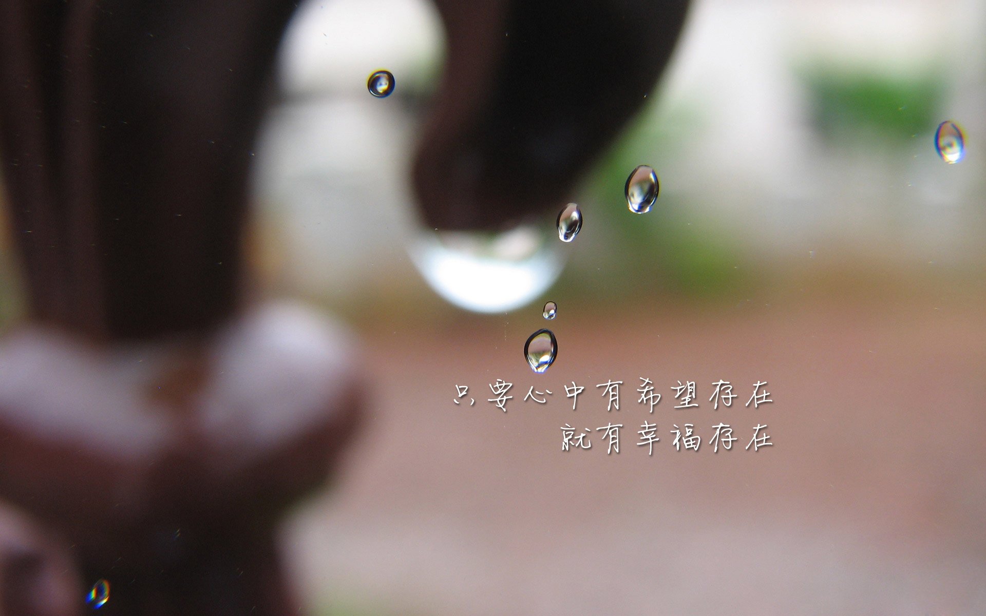 碾压与超越,2026世界杯F组关键战,比利时用一场非足球胜利宣告王朝归来