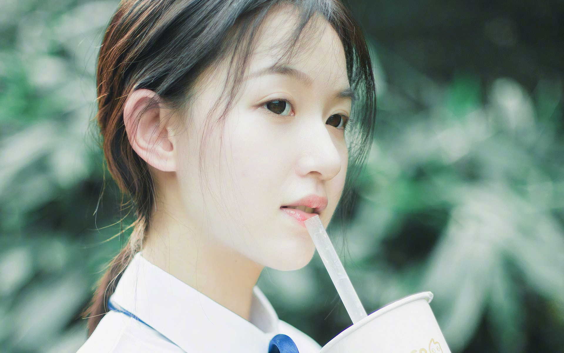 宿命对决,2026世界杯A组,罗马尼亚铁骑碾压印度,福登独舞点燃绿茵烽火