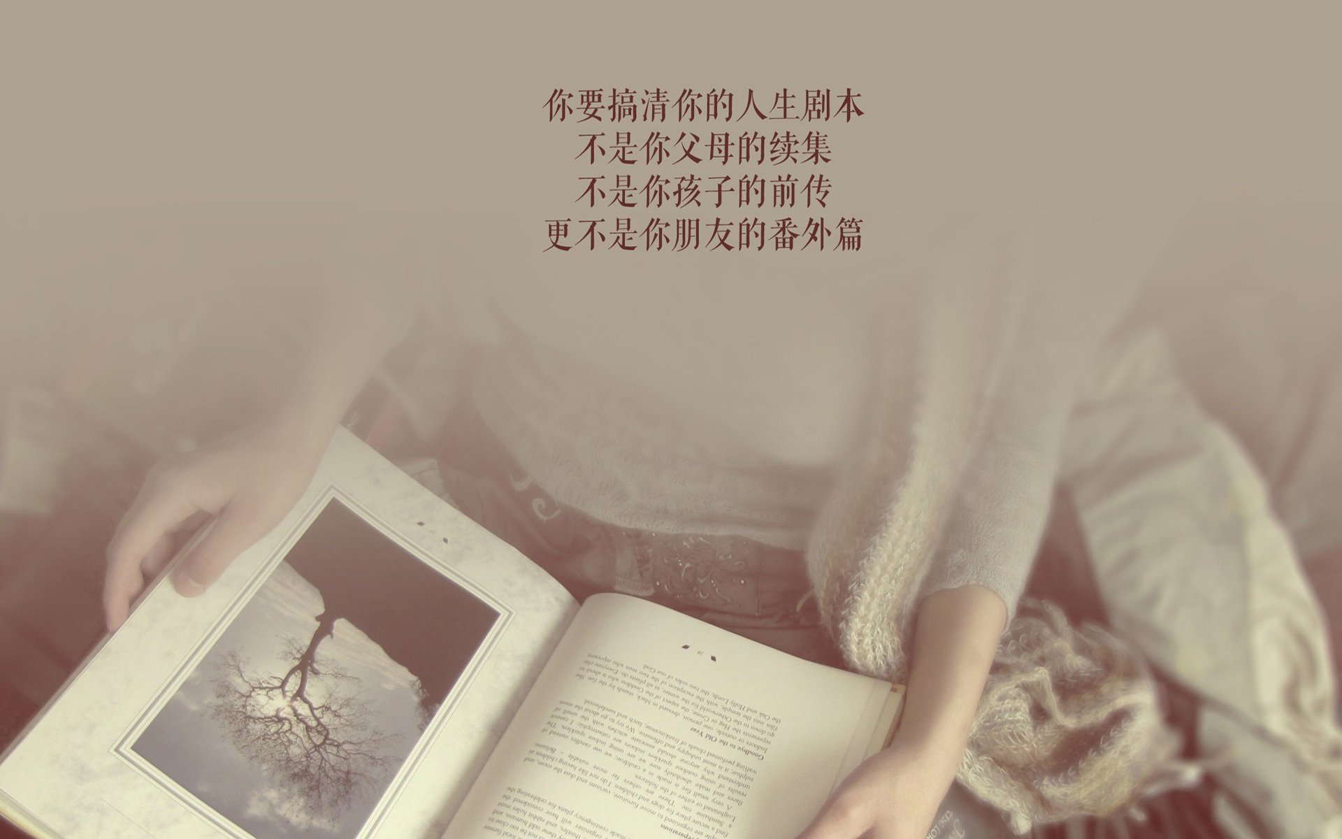 这是一篇为您定制的文章,标题紧扣唯一性与赛果的戏剧性,内容则围绕2026年世界杯B组那场冷门之战展开
