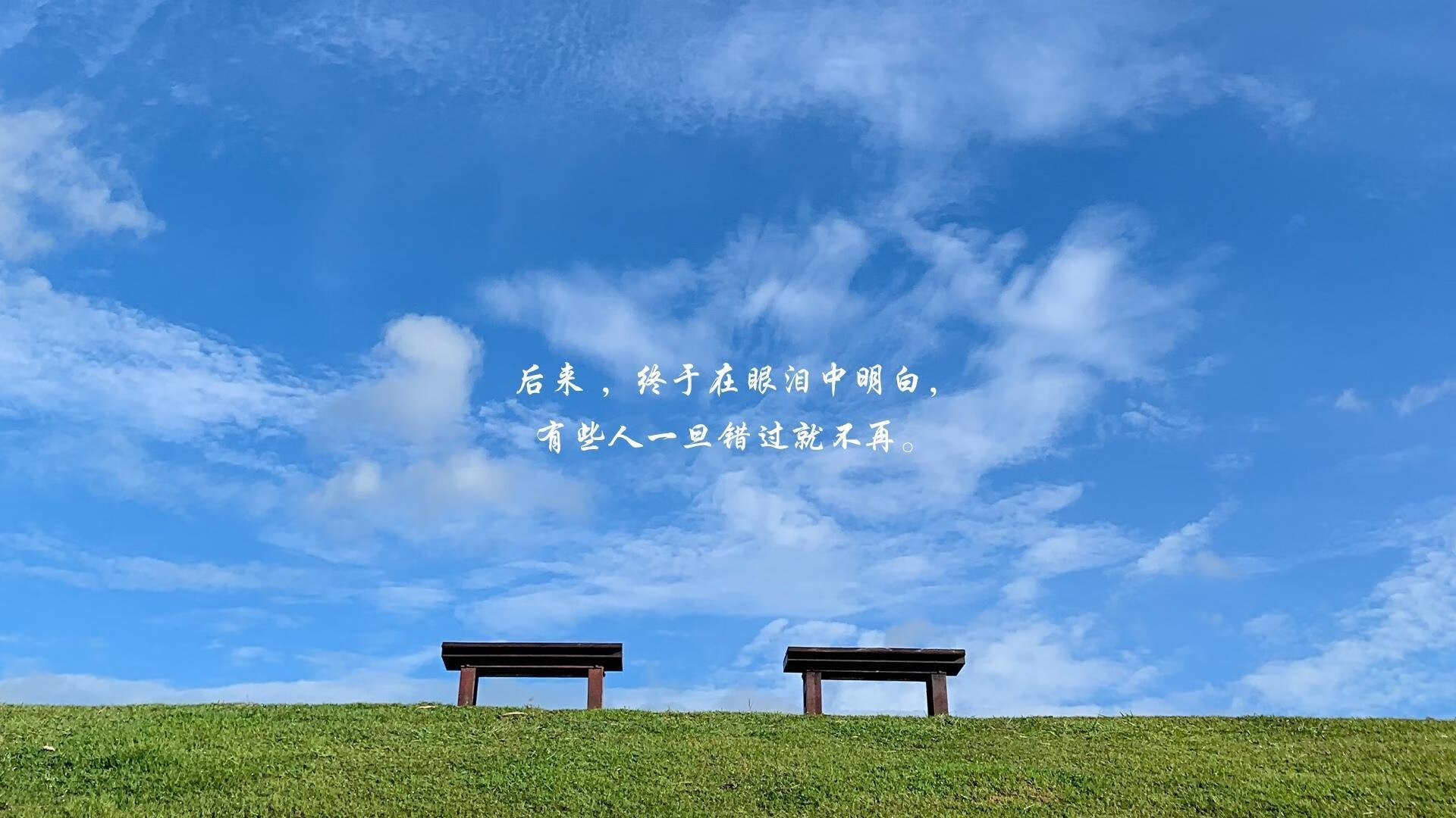 橙色风暴中的孤勇者，2026世界杯D组，荷兰险胜罗马尼亚，塔雷米用一己之力点燃冷门之光