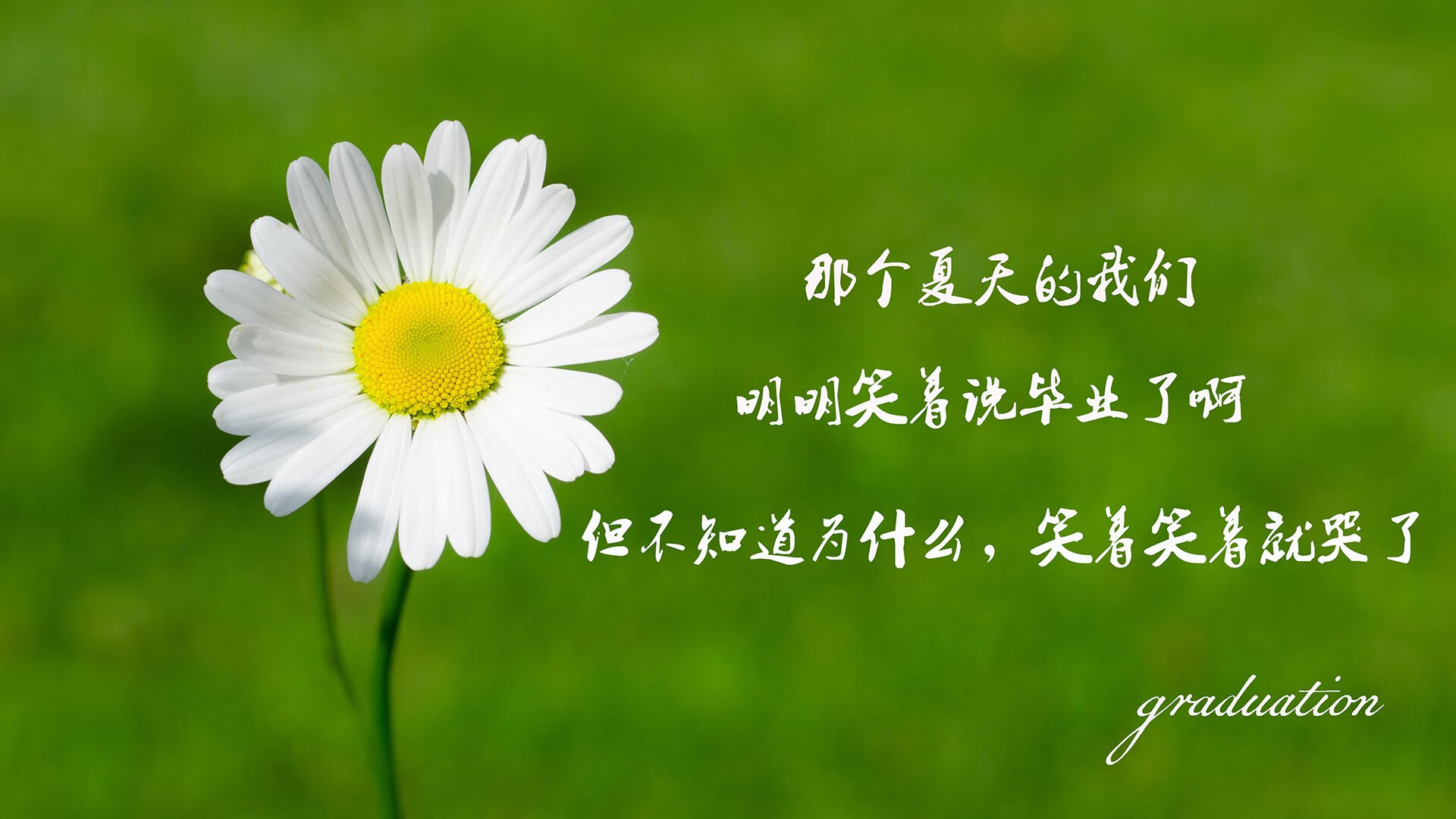 1.戏剧张力版,从地狱到天堂的八分钟,加纳逆转波兰,莱万悲壮的独角戏